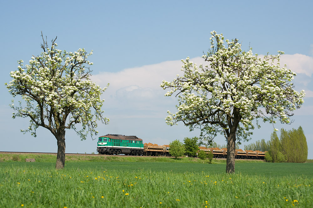 Der richtige Frühling 2013