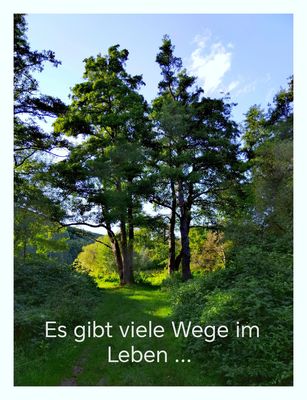 ... der richtige ist der, der Dich glücklich macht. 