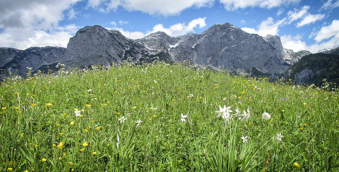 der richtige Platz