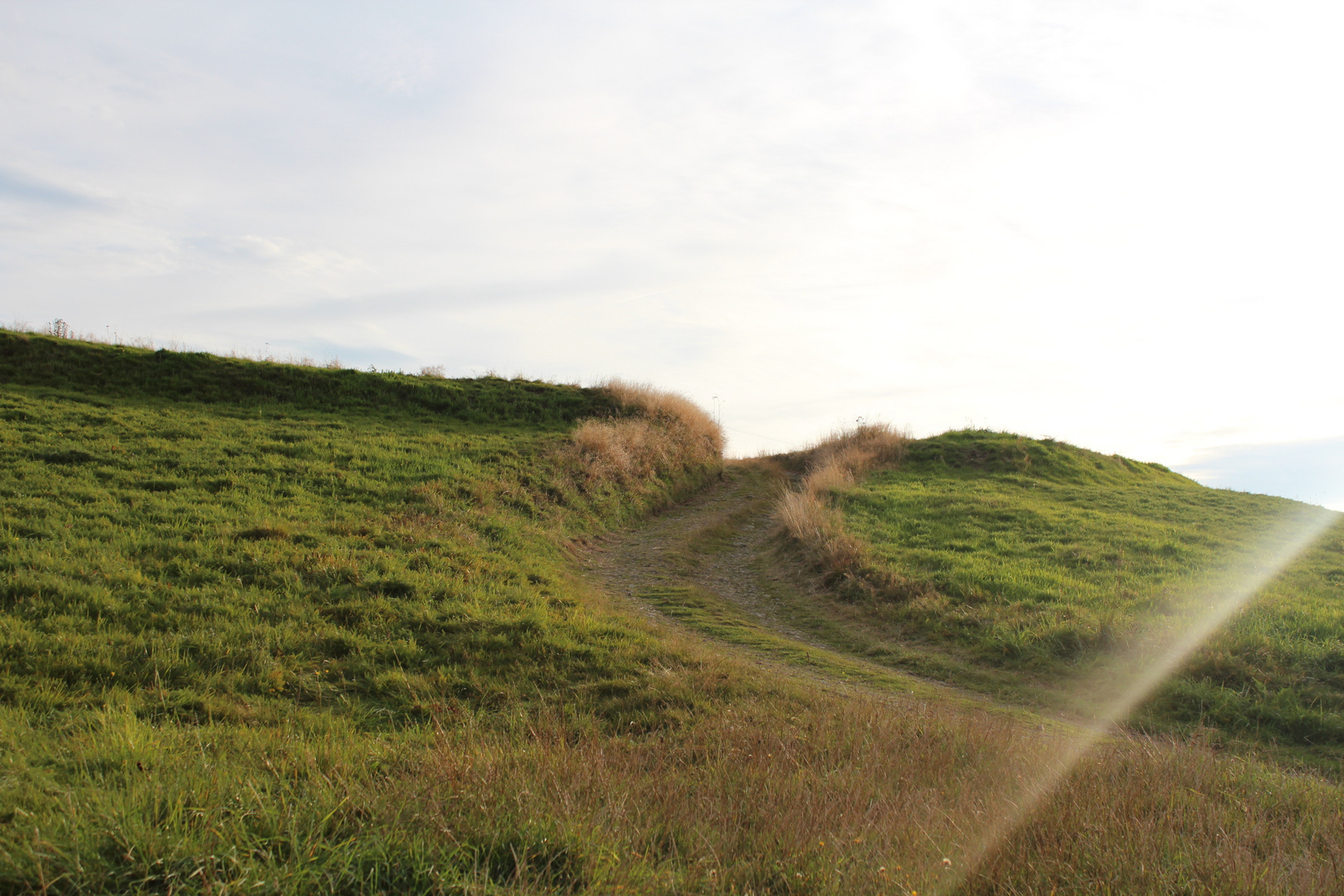 Der richtige Weg