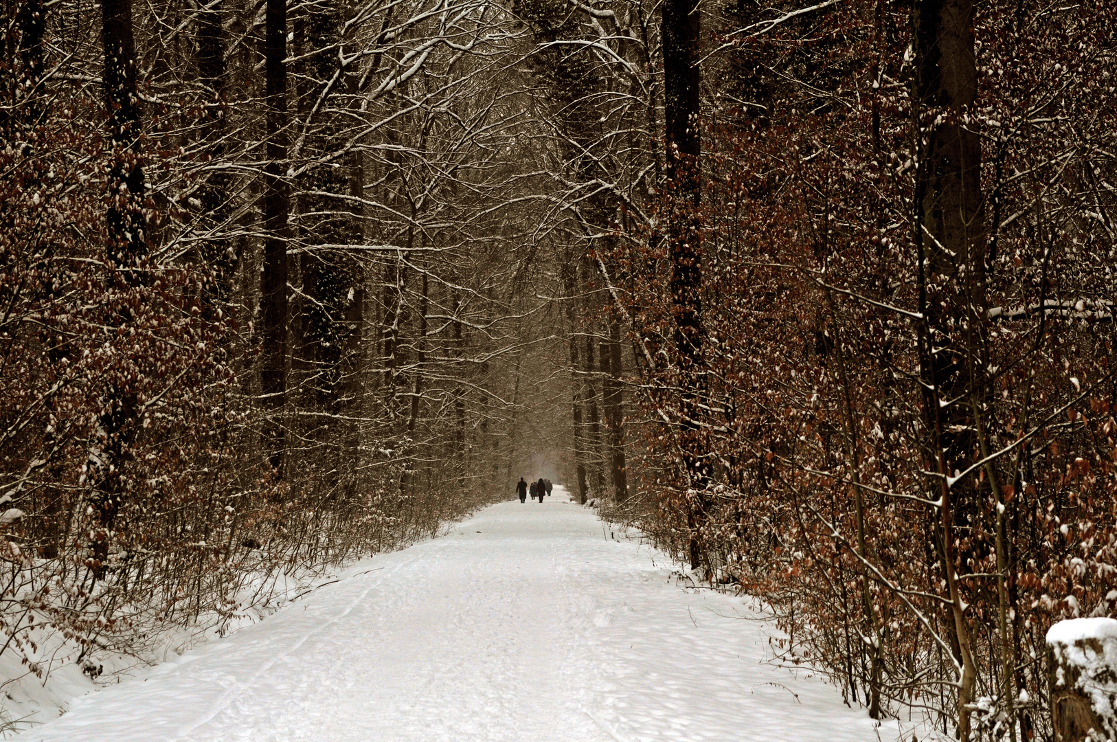 Der richtige Weg