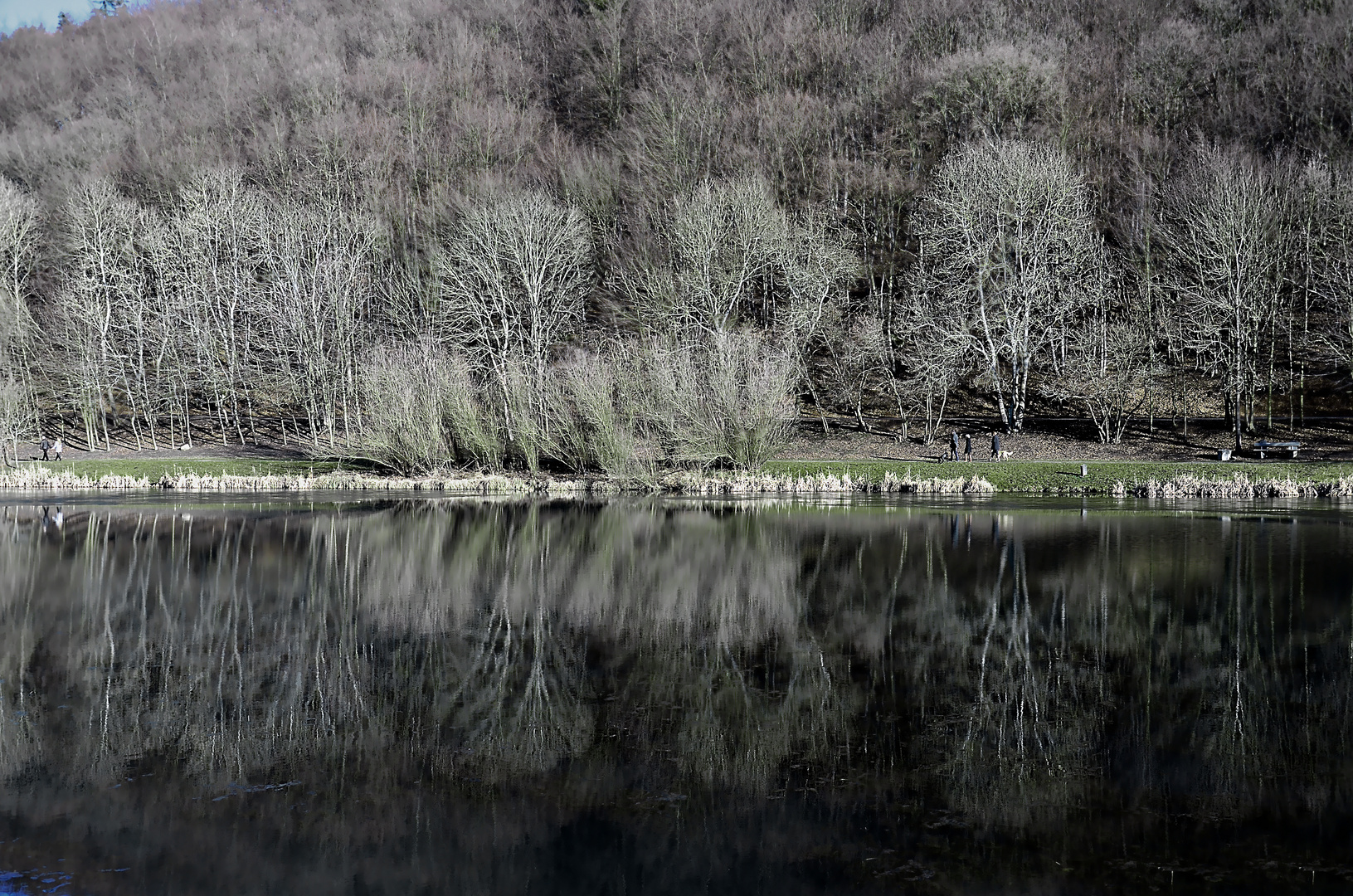 Der Riedener Waldsee im Landkreis Mayen-Koblenz