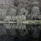 Der Riedener Waldsee im Landkreis Mayen-Koblenz