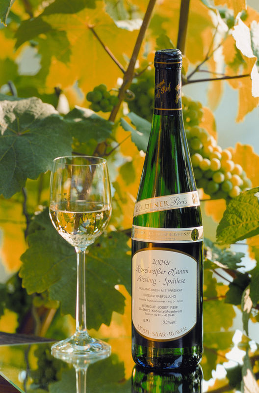 Der Riesling aus Koblenz-Moselweiß