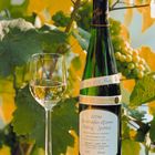 Der Riesling aus Koblenz-Moselweiß