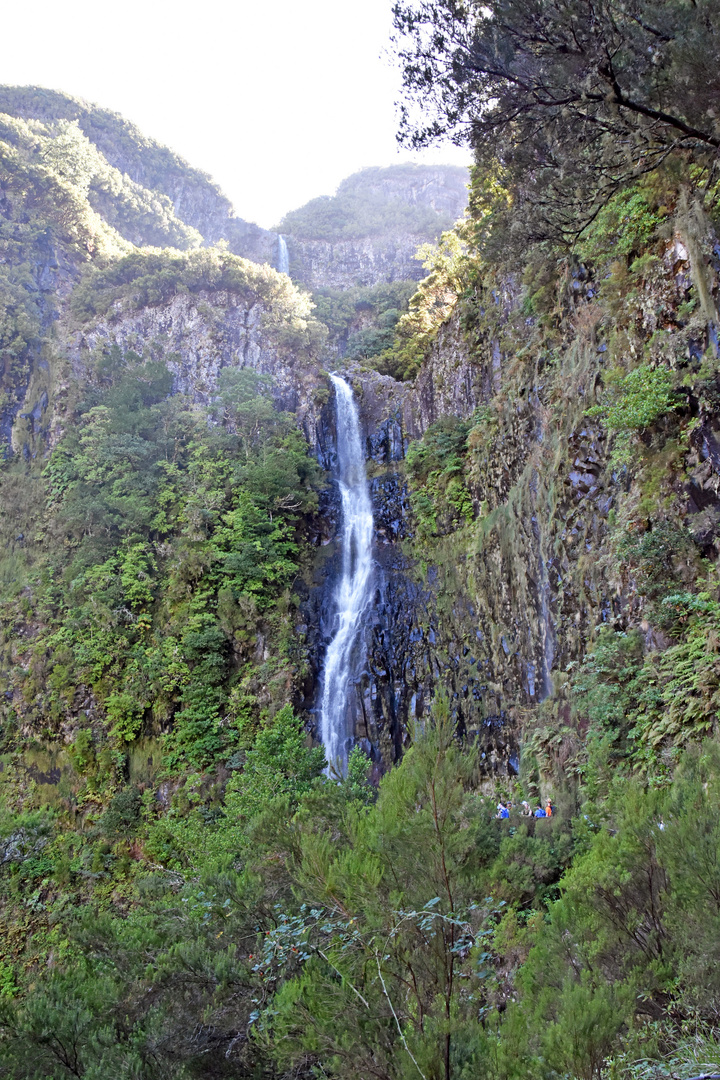 Der Risco-Wasserfall im Tal von Rabacal auf Madeira