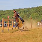 Der Ritter hat den Kopf verloren