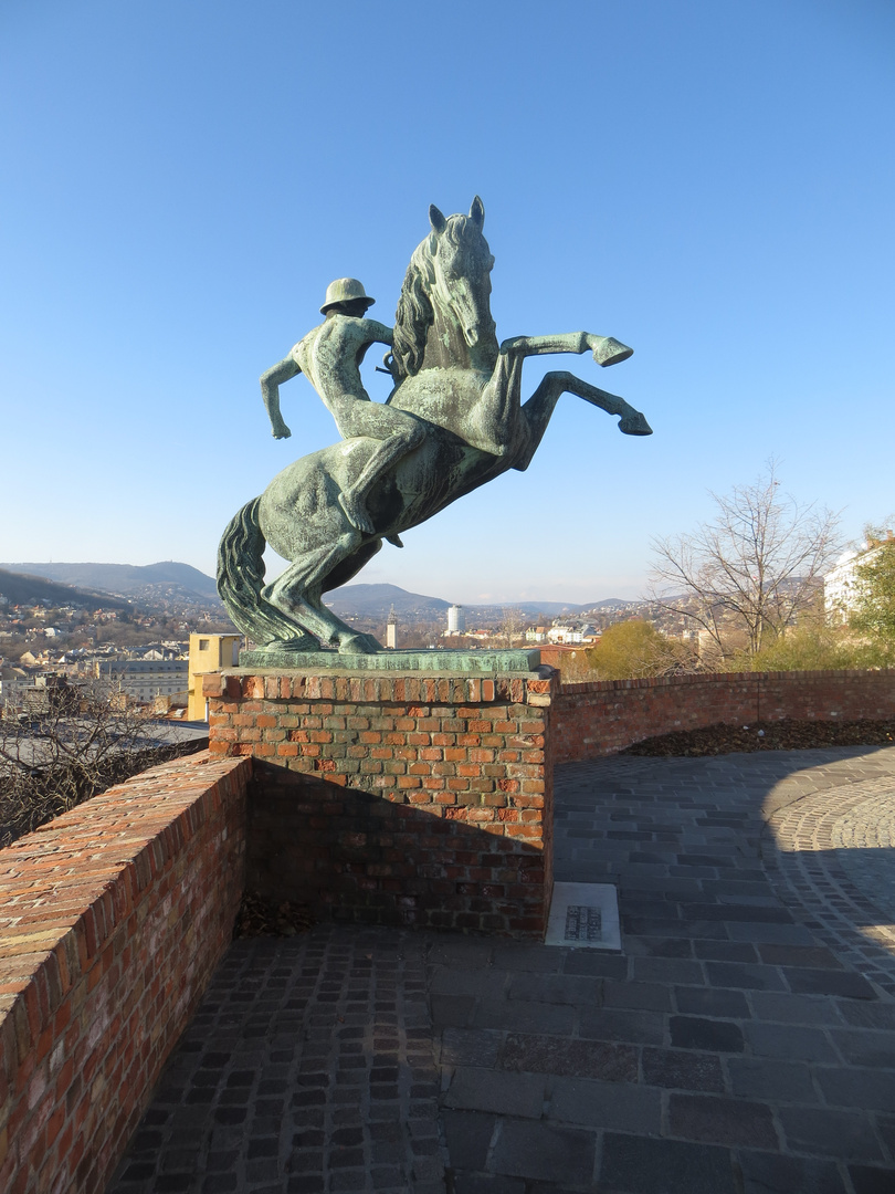 Der Ritter über Buda ...