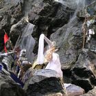 Der Ritter vom Wasserfall