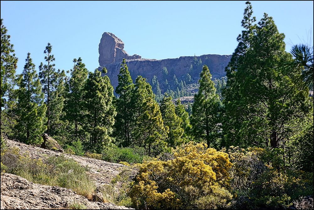 der Rock Nublo