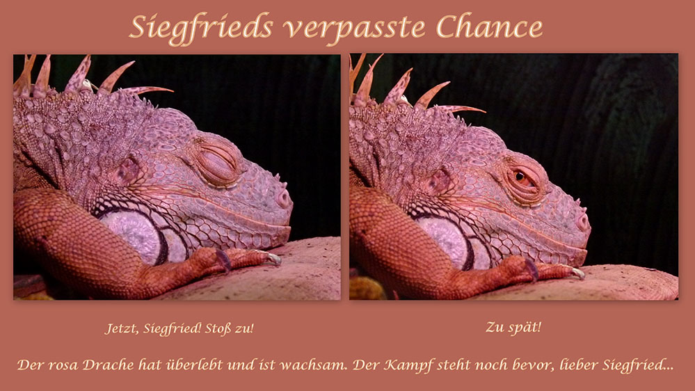 Der Rosa Drache ist bereit!