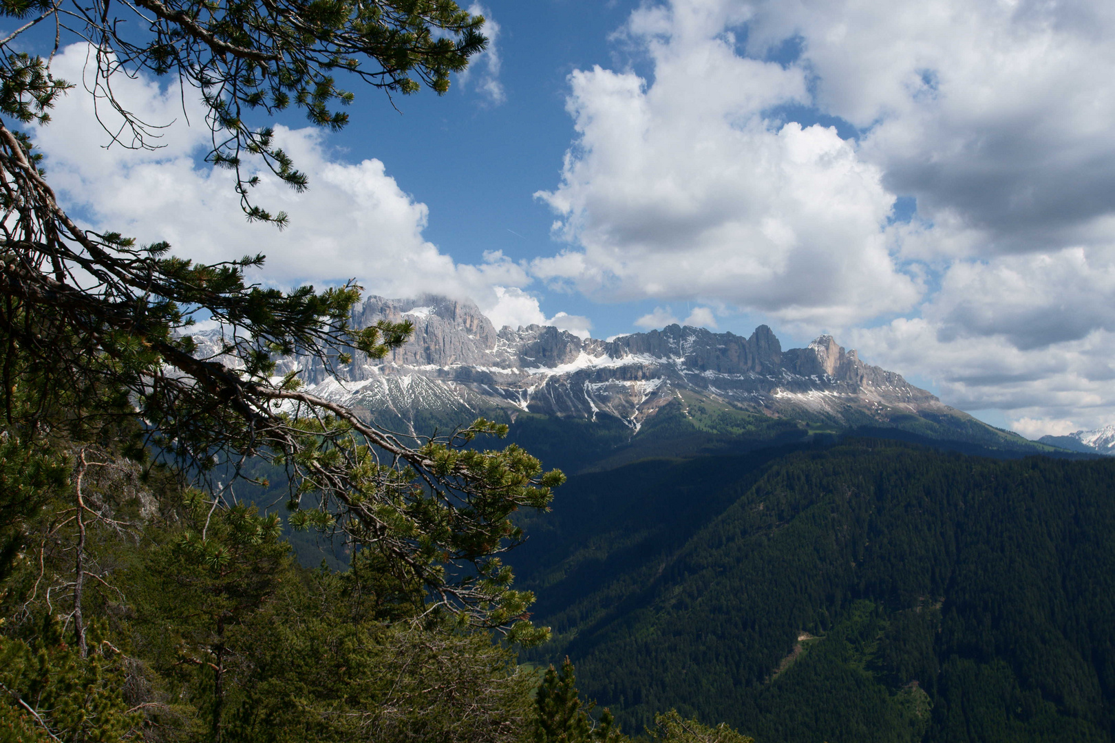 Der Rosengarten