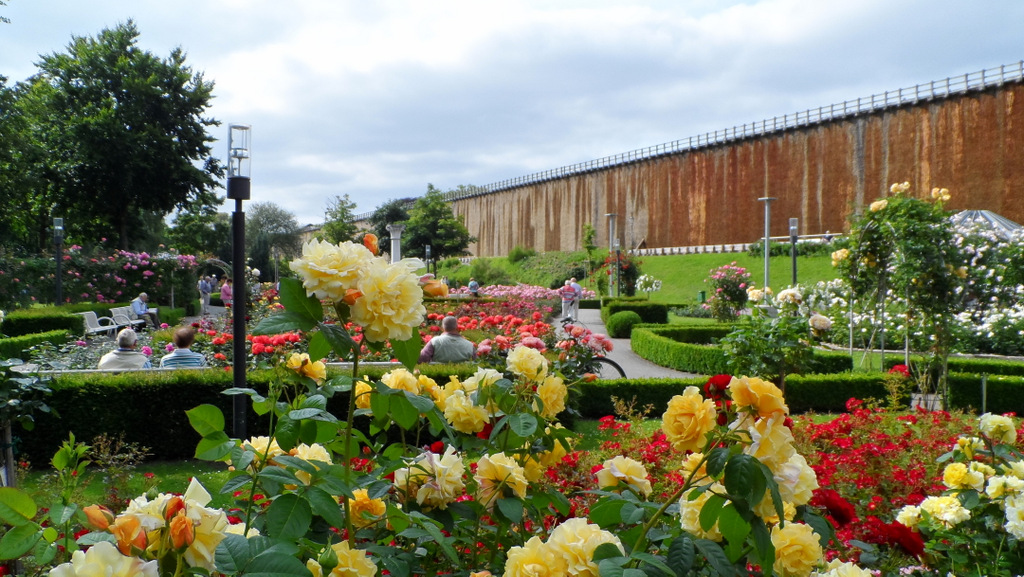 Der Rosengarten - Bad Rothenfelde