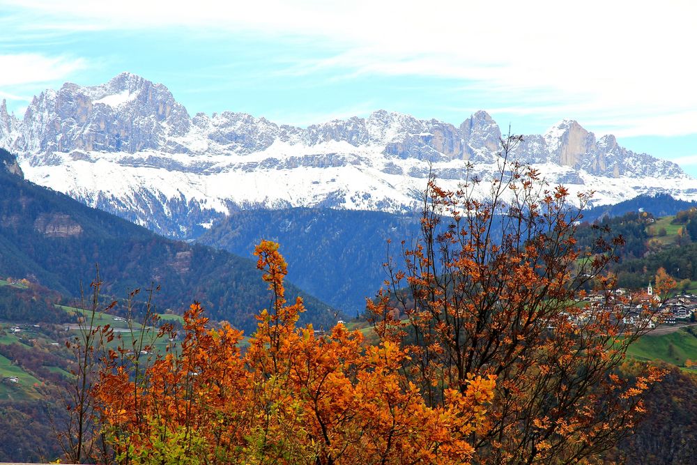 Der Rosengarten