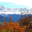 Der Rosengarten