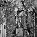 der Rosengarten im Rosensteinpark