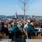 Der Rosengarten - Kraftnahrung für die Seele