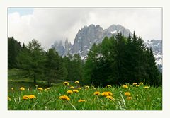 der Rosengarten oberhalb von Tiers