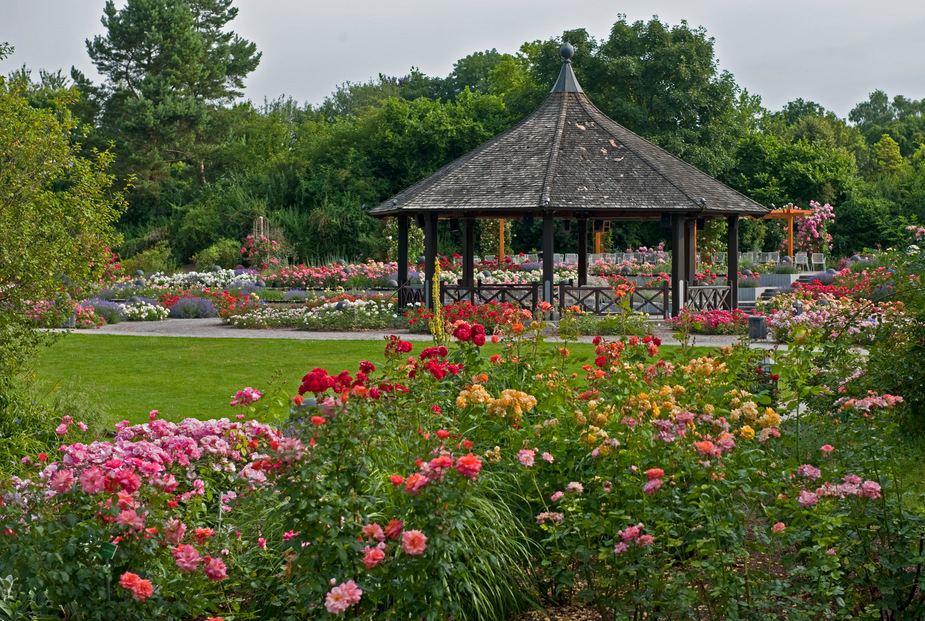 Der Rosenpavillon Botanischer Garten Augsburg Foto & Bild