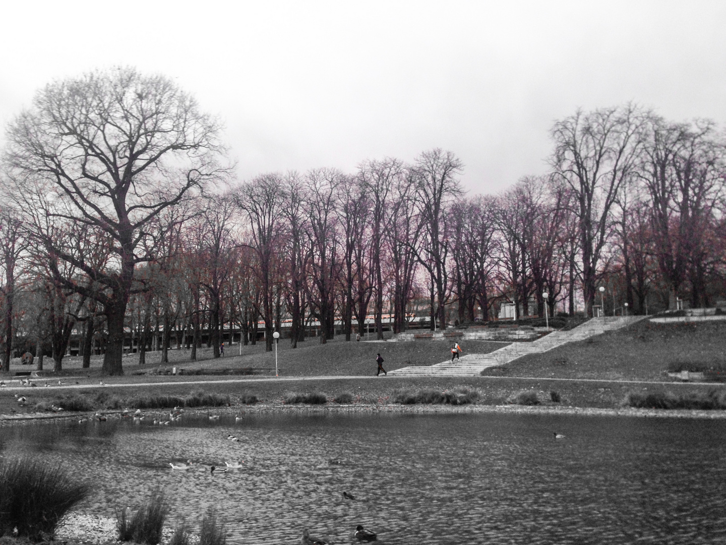 Der Rosensteinpark im Winter