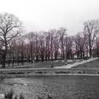 Der Rosensteinpark im Winter