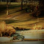 der Rosensteinpark im Winter