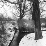 Der Rosensteinpark im Winter