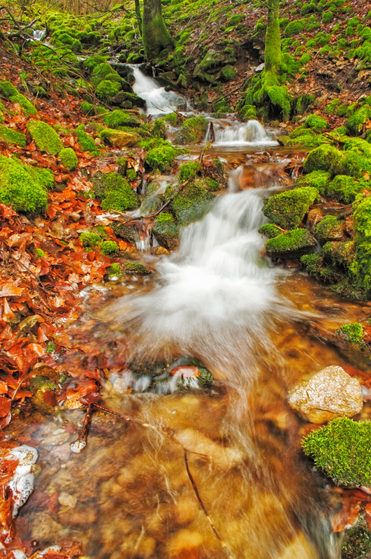 Der Rossgrundbach