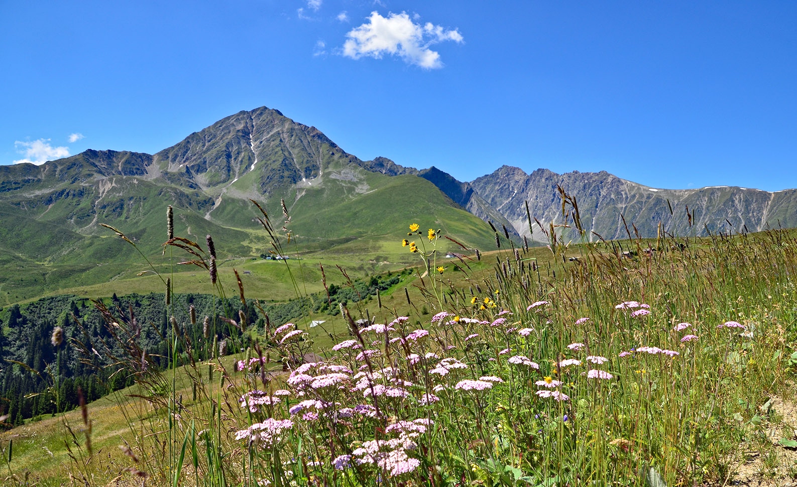 Der Rosskogel