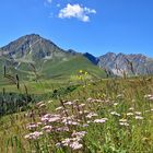 Der Rosskogel