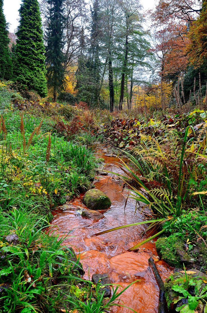 Der rote Bach