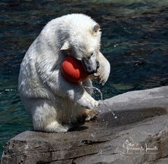 Der rote Ball