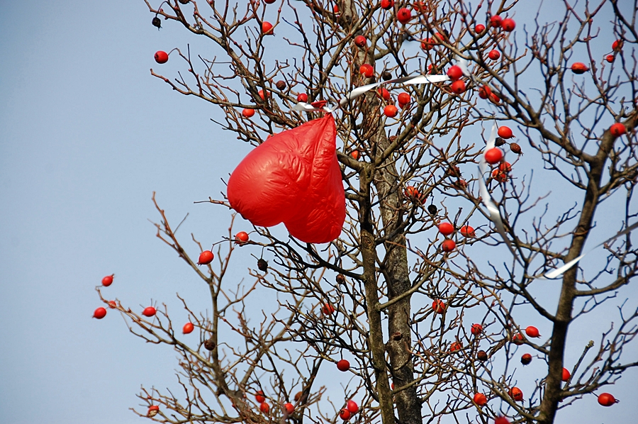 der rote Ballon