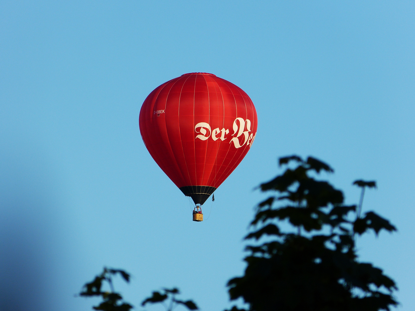 Der "Rote Baron"