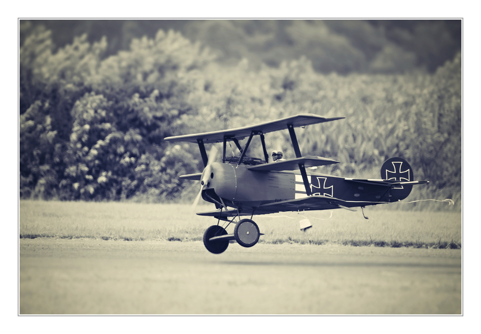 der Rote Baron kommt Foto & Bild  luftfahrt, modellflug, verkehr &  fahrzeuge Bilder auf fotocommunity