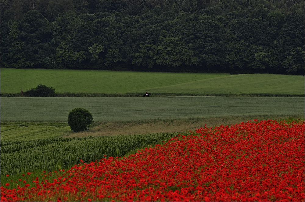 der rote Fleck