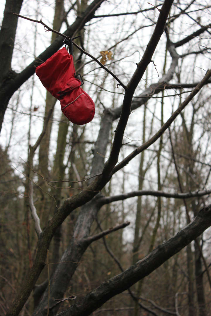 Der Rote Handschuh