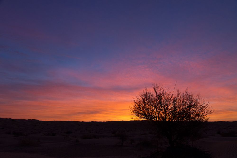 Der rote Himmel über der Sahara