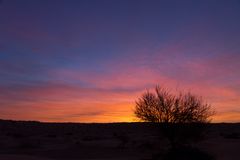 Der rote Himmel über der Sahara