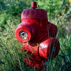 Der rote Hydrant