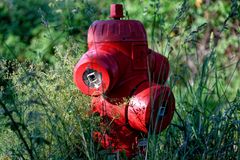 Der rote Hydrant