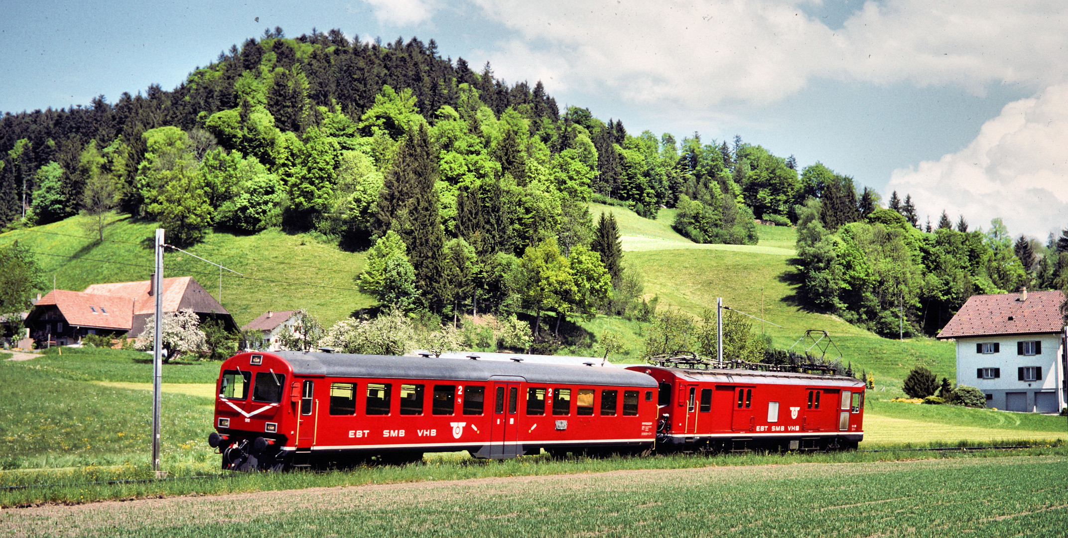 Der Rote im Grünen