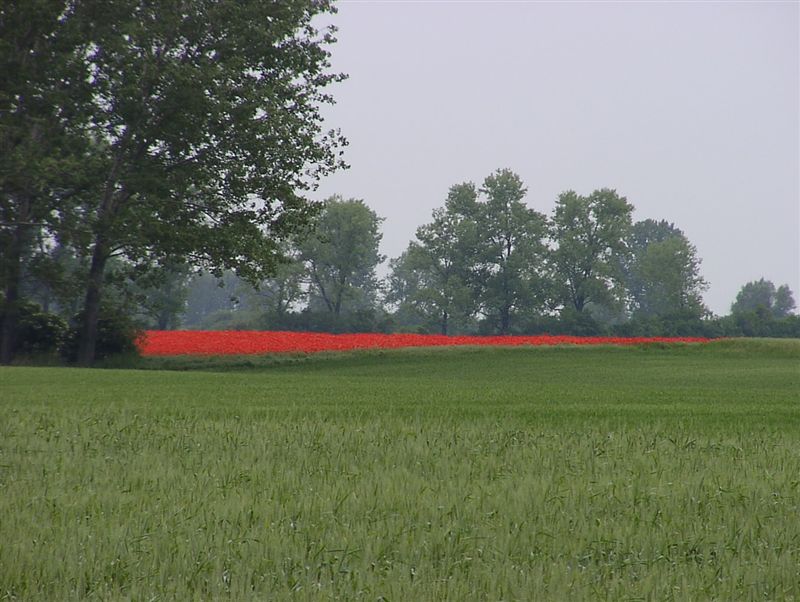 der rote strich in der landschaft