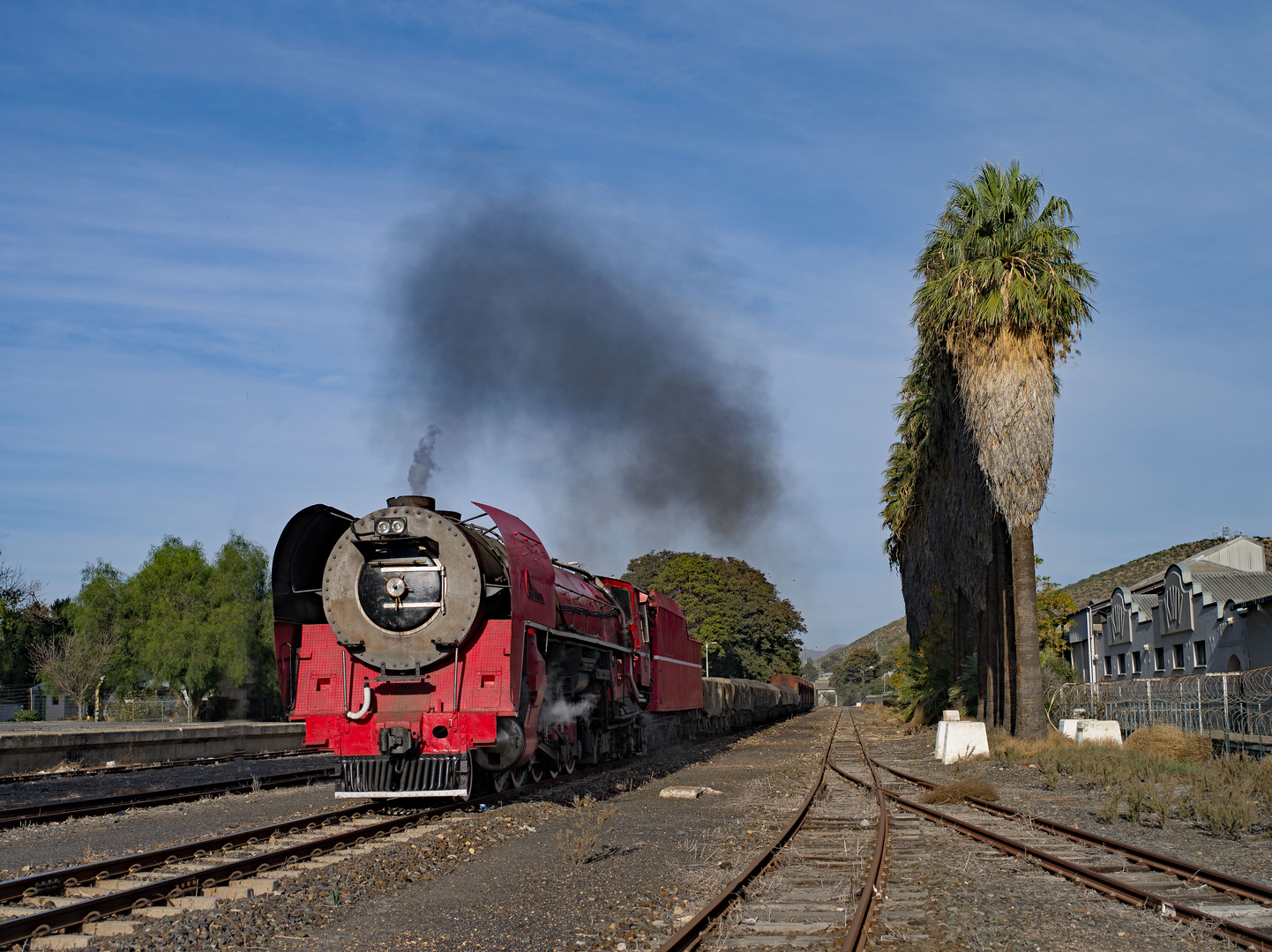 Der Rote Teufel in Robertson