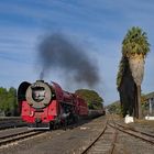 Der Rote Teufel in Robertson