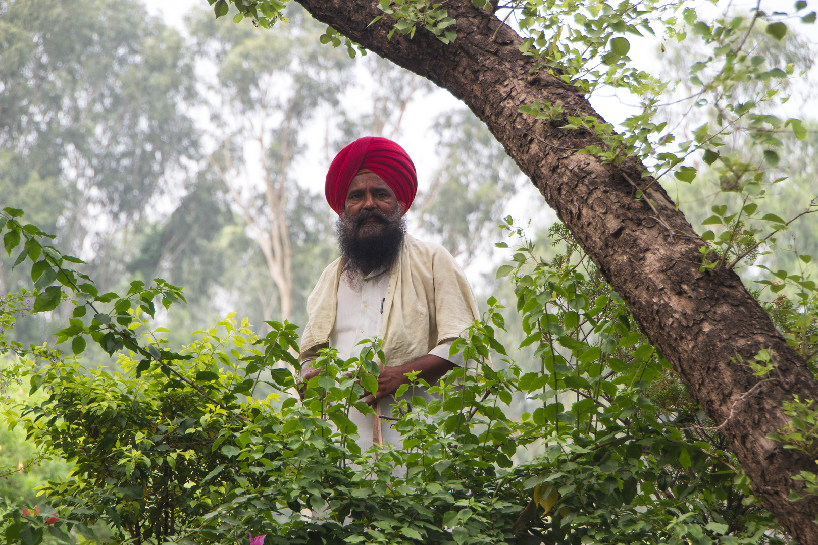 Der rote Turban - Chandigarh