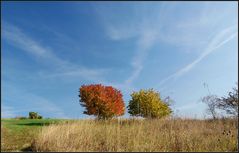 Der Rote und der Blonde