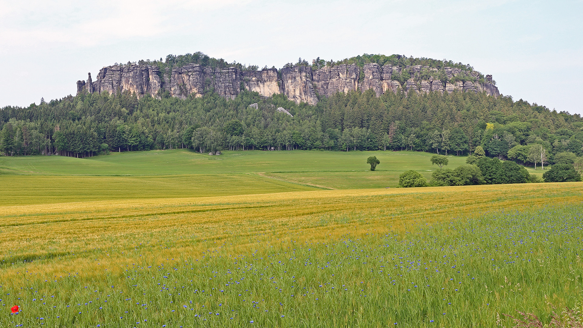 Der "ROTE" und der Pfaffenstein...in der vorletzten Frühlingswoche