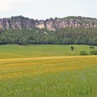 Der "ROTE" und der Pfaffenstein...in der vorletzten Frühlingswoche