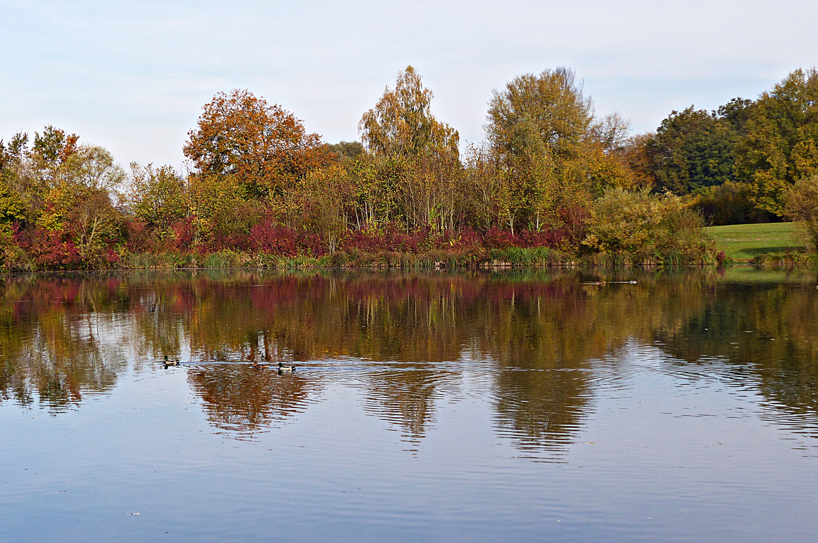 Der Rothsee im Herbst 1